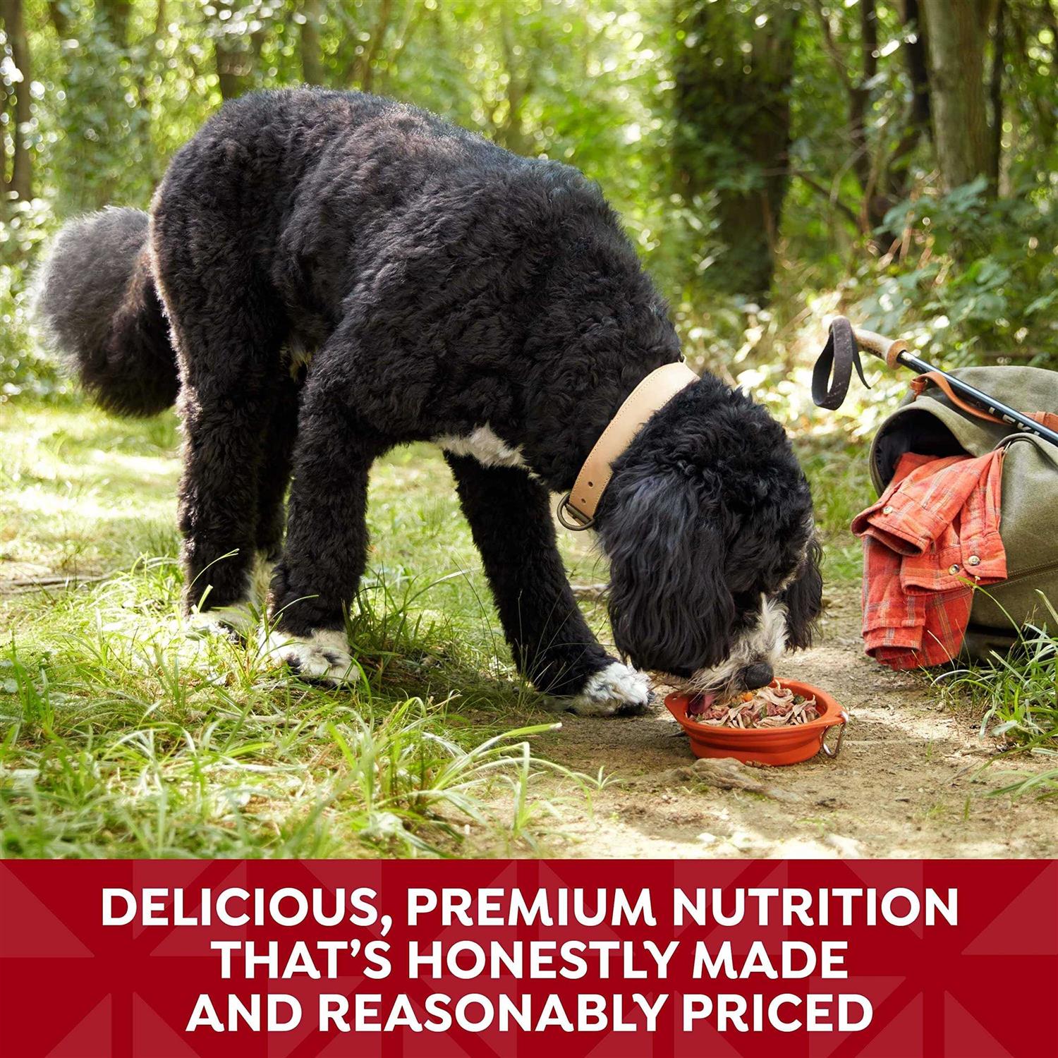 Nature's Recipe Wet Dog Food - Pet Supplies online store