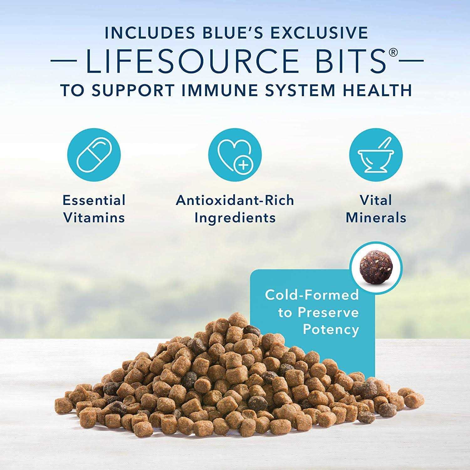 Blue Indoor Hairball & Weight Control Adult Cat Dry Food - Pet Supplies online store