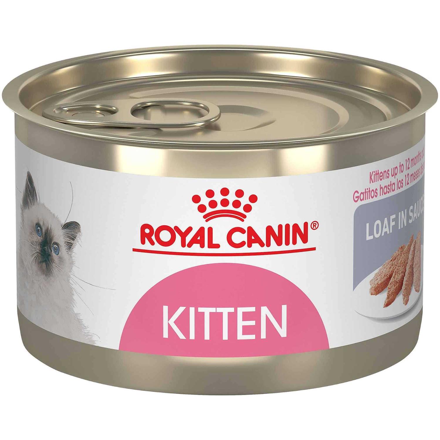 Royal Canin Kitten Loaf in Sauce Cat Food - Pet Supplies online store