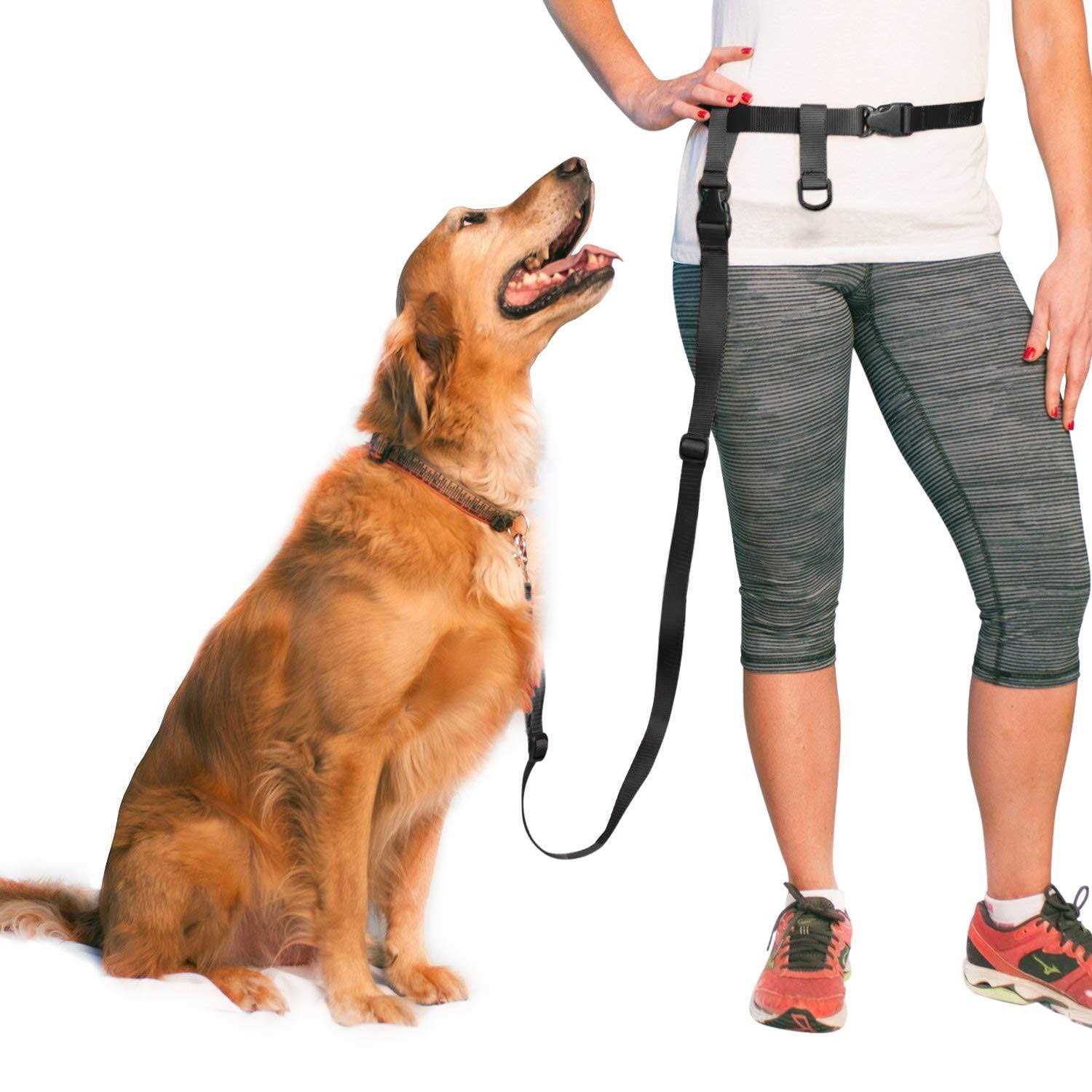 The Buddy System Adjustable Hands Free Dog Leash, Hand-Free Leash for Running, Jogging, Walking, Hiking and Training Service - Pet Supplies online store