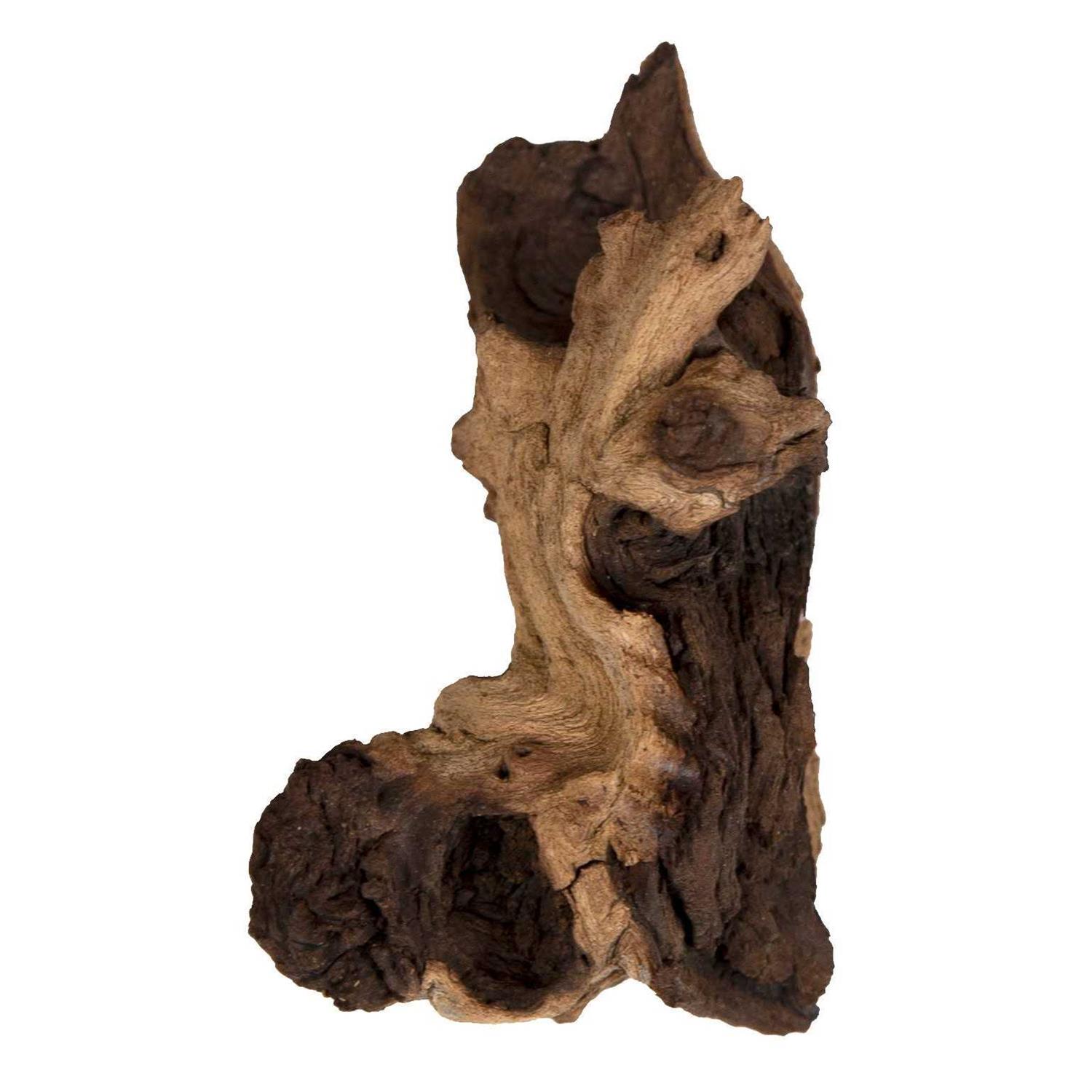 Zoo Med Betta Mopani Wood - Pet Supplies online store