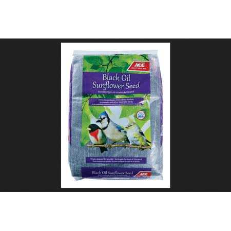 Ace Songbird Black Oil Sunflower Seed Wild Bird Food - Pet Supplies online store