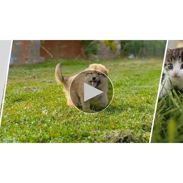 BioBag Standard Pet Waste Bags - Pet Supplies online store