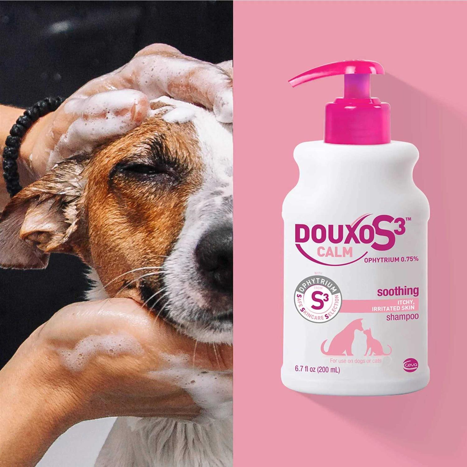 Douxo Calm S3 Shampoo - Pet Supplies online store