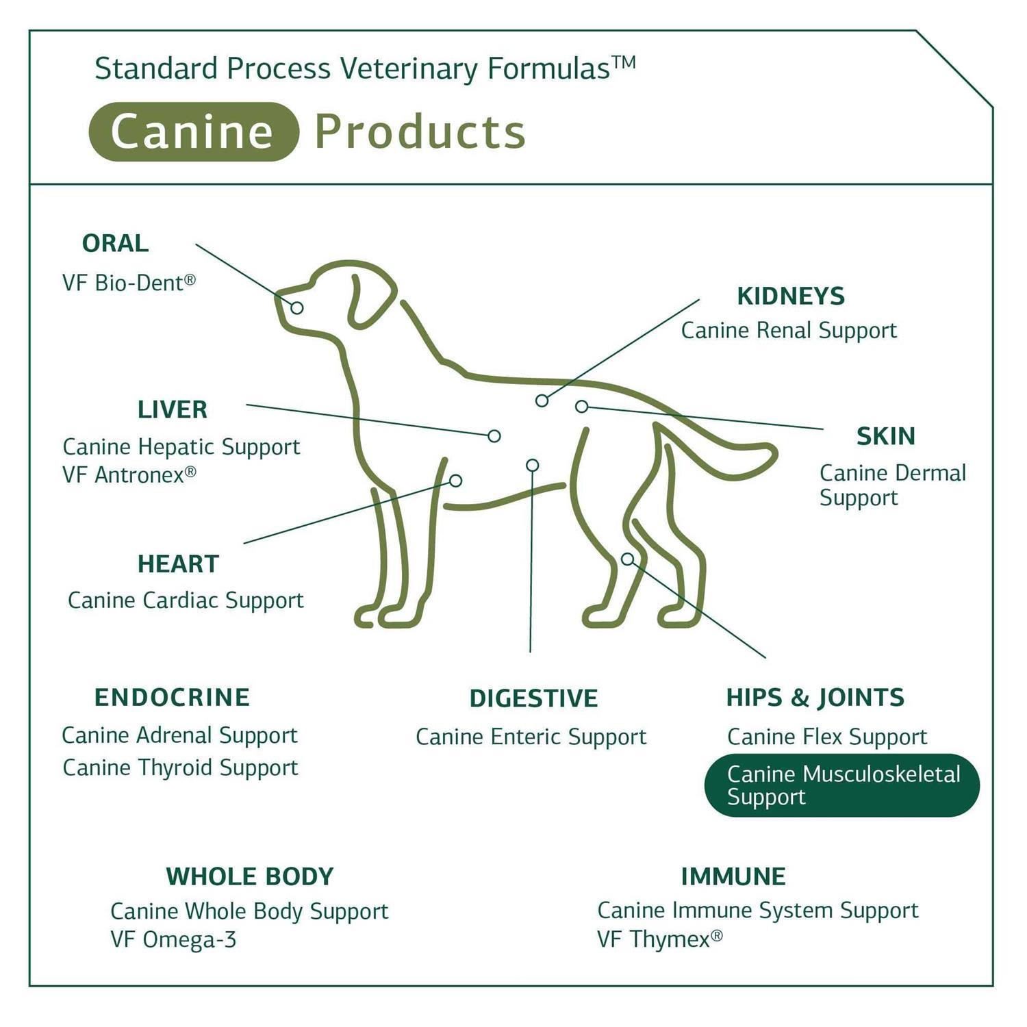 Canine Musculoskeletal Support Standard Process - Pet Supplies online store