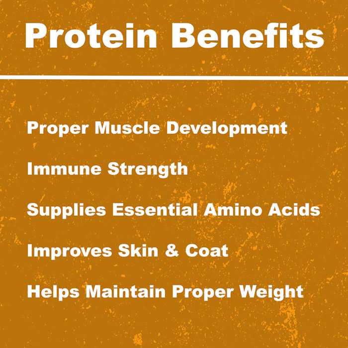 Whole Life Pet Just One Ingredient Freeze-Dried Chicken Dog Treats - Pet Supplies online store