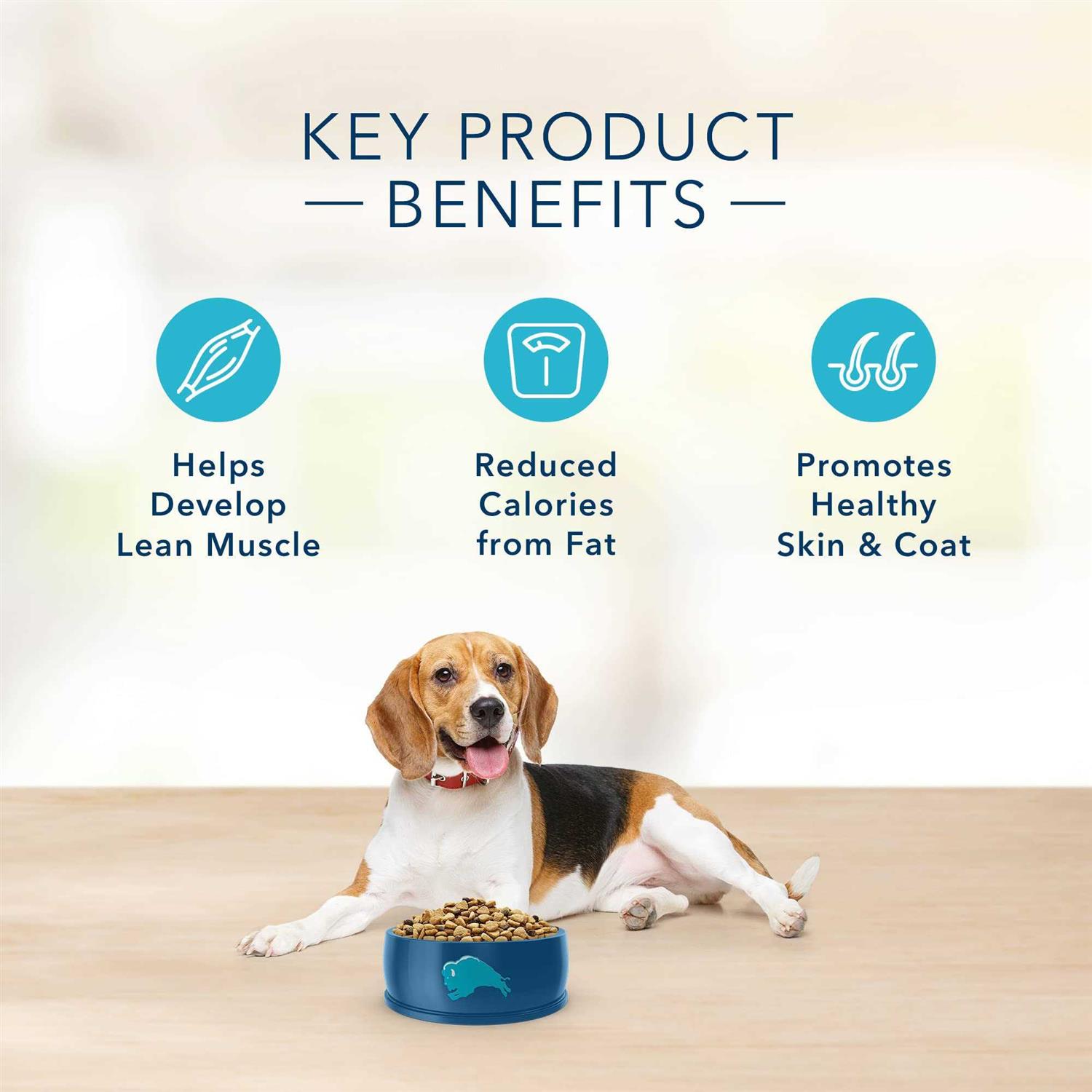 Blue Buffalo Basics Healthy Weight Turkey & Potato Dry Dog Food - Pet Supplies online store
