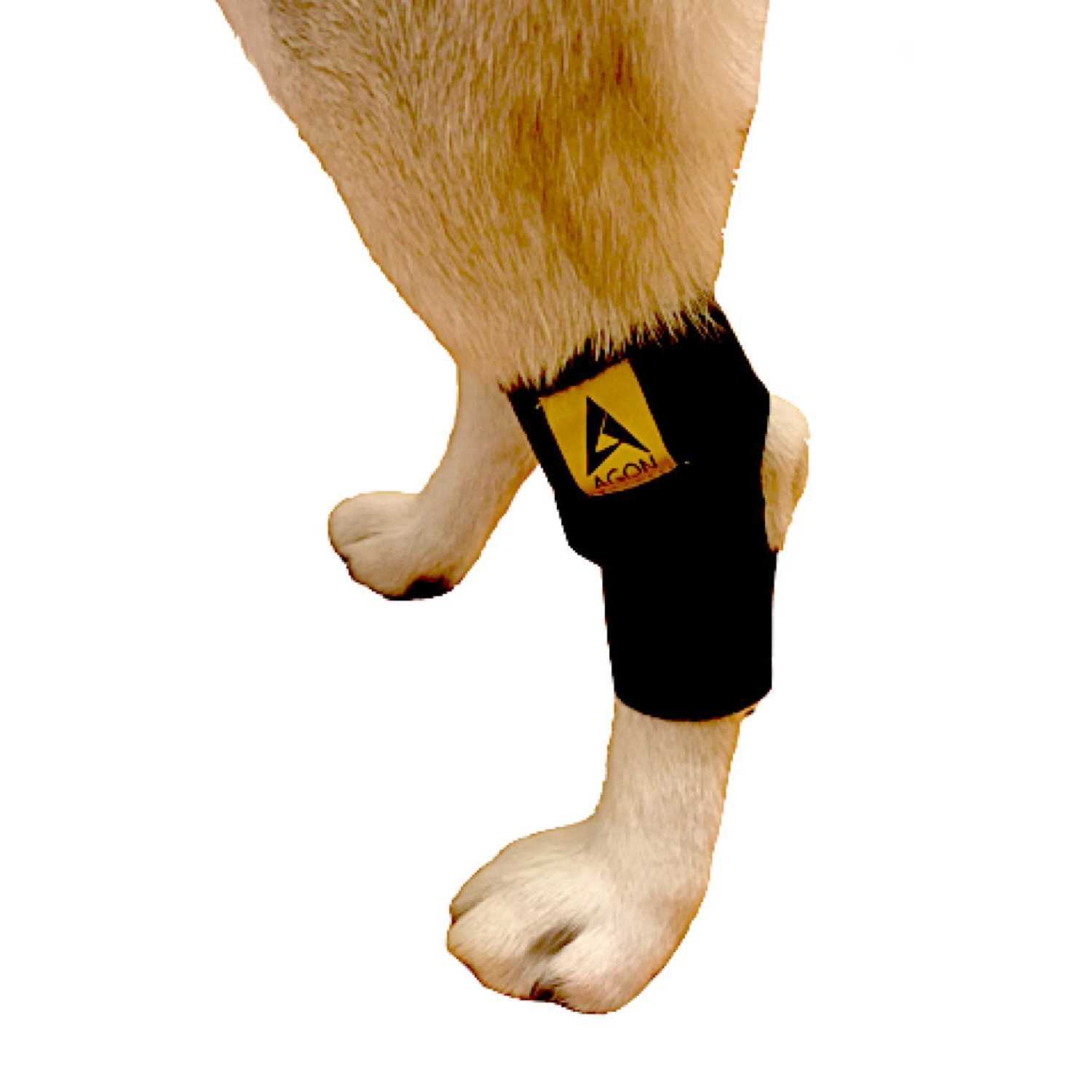 Agon Dog Canine Rear Hock Joint Brace Compression Wrap With Straps Dog For Back Leg Protects Wounds. Heals Prevents Injuries and Sprains Helps - Pet Supplies online store