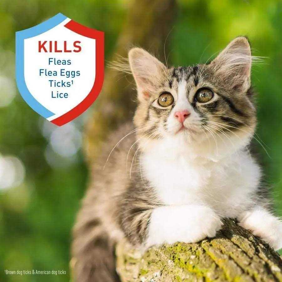 Adams Plus Flea Tick Shampoo - Pet Supplies online store