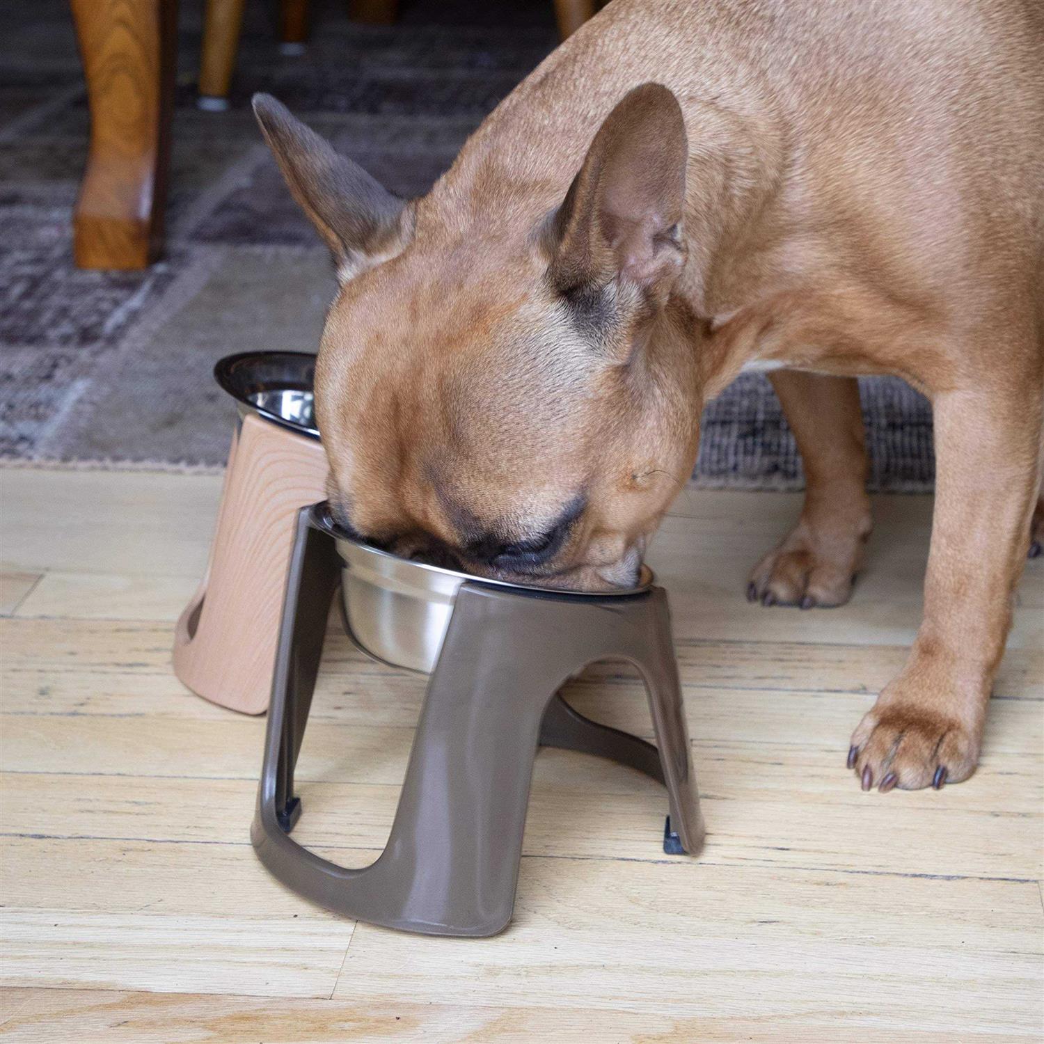 Sport Pet SportPet Food Bowls_Raised Stainless Steel Bowl_Gravity Feeder and Waterer - Pet Supplies online store