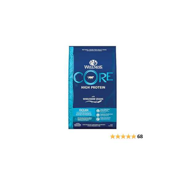 Wellness CORE High Protein Wholesome Grains Ocean Recipe Dry Dog Food - Pet Supplies online store