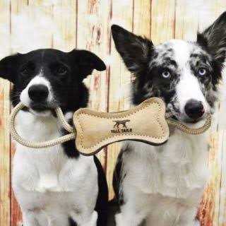 Tall Tails Natural Leather Ring Dog Toy - Pet Supplies online store