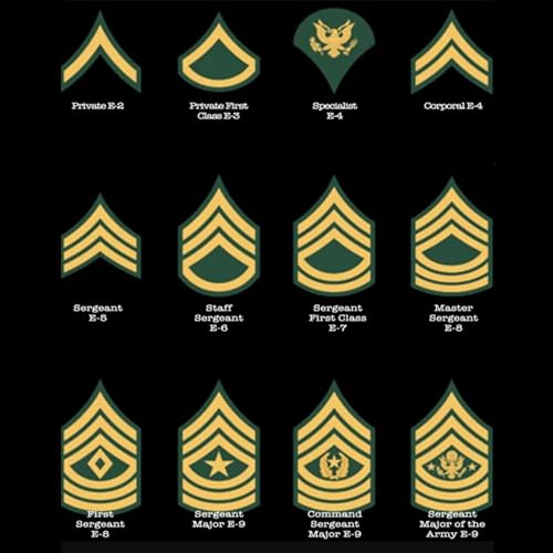 ARMY Rank Self Standing Name Plate,Wooden Custom Army Rank and Name Sign Personalized Engraved Name Plate Home Office Decoration Name Plate for Army Service (E)