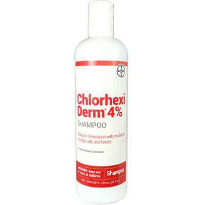 Chlorhexiderm 4% Shampoo 12 Oz For Dogs - Pet Supplies online store