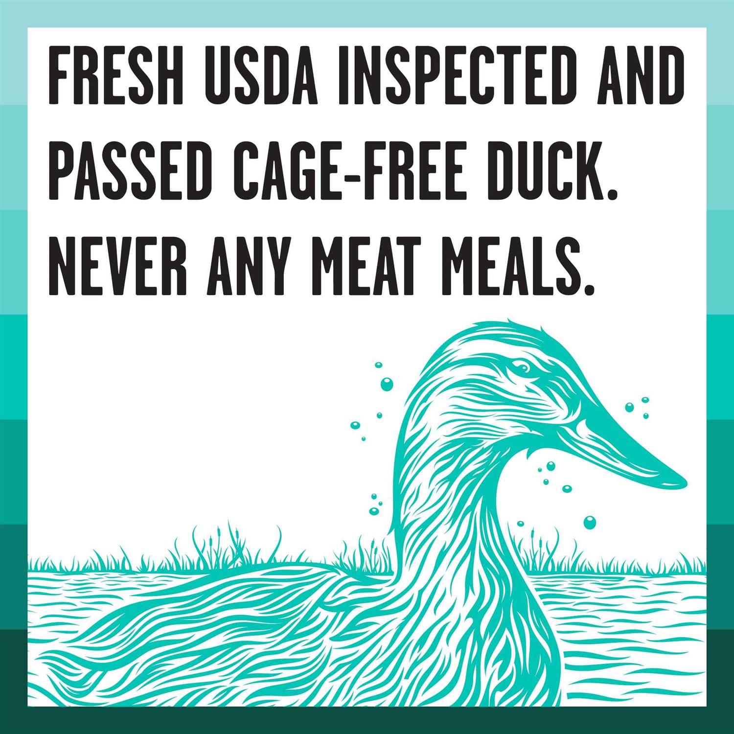 BIXBI Rawbble Duck Recipe Dry Dog Food - Pet Supplies online store