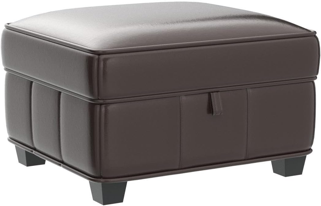 BOWERY HILL Leather Storage Ottoman 25L x 22W x 17H in Dark Brown