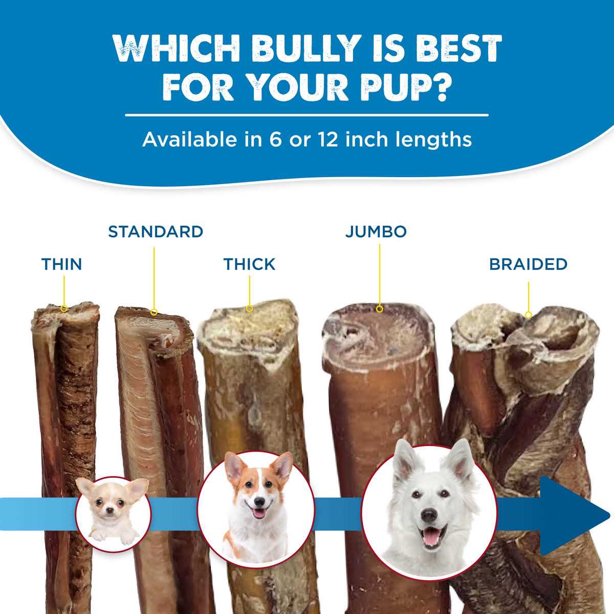 Best Bully Sticks All-Natural Bully Sticks for Dogs - Pet Supplies online store