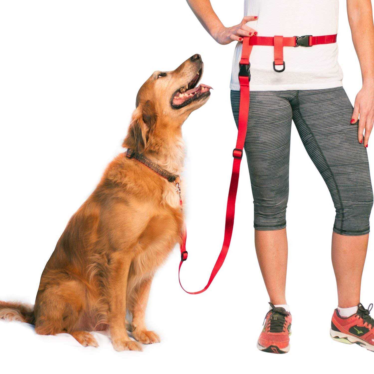 The Buddy System Adjustable Hands Free Dog Leash, Hand-Free Leash for Running, Jogging, Walking, Hiking and Training Service - Pet Supplies online store