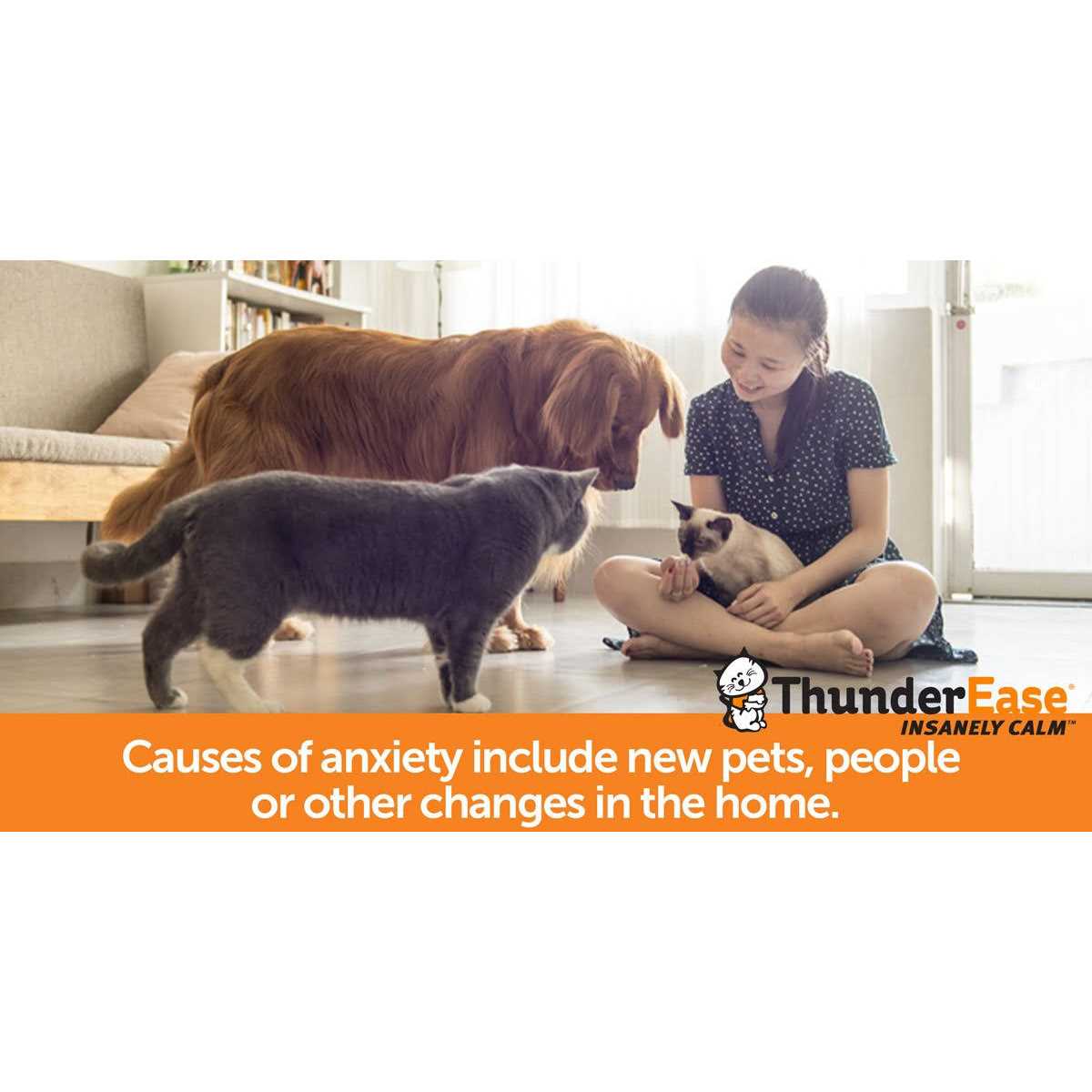 ThunderEase Calming Diffuser Refill Cat - Pet Supplies online store