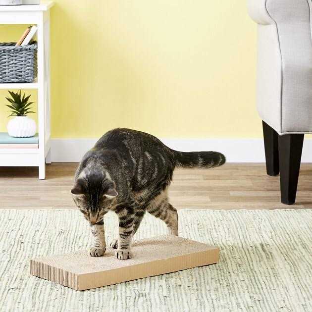Midwest Catty Scratch Cat Scratcher - Pet Supplies online store