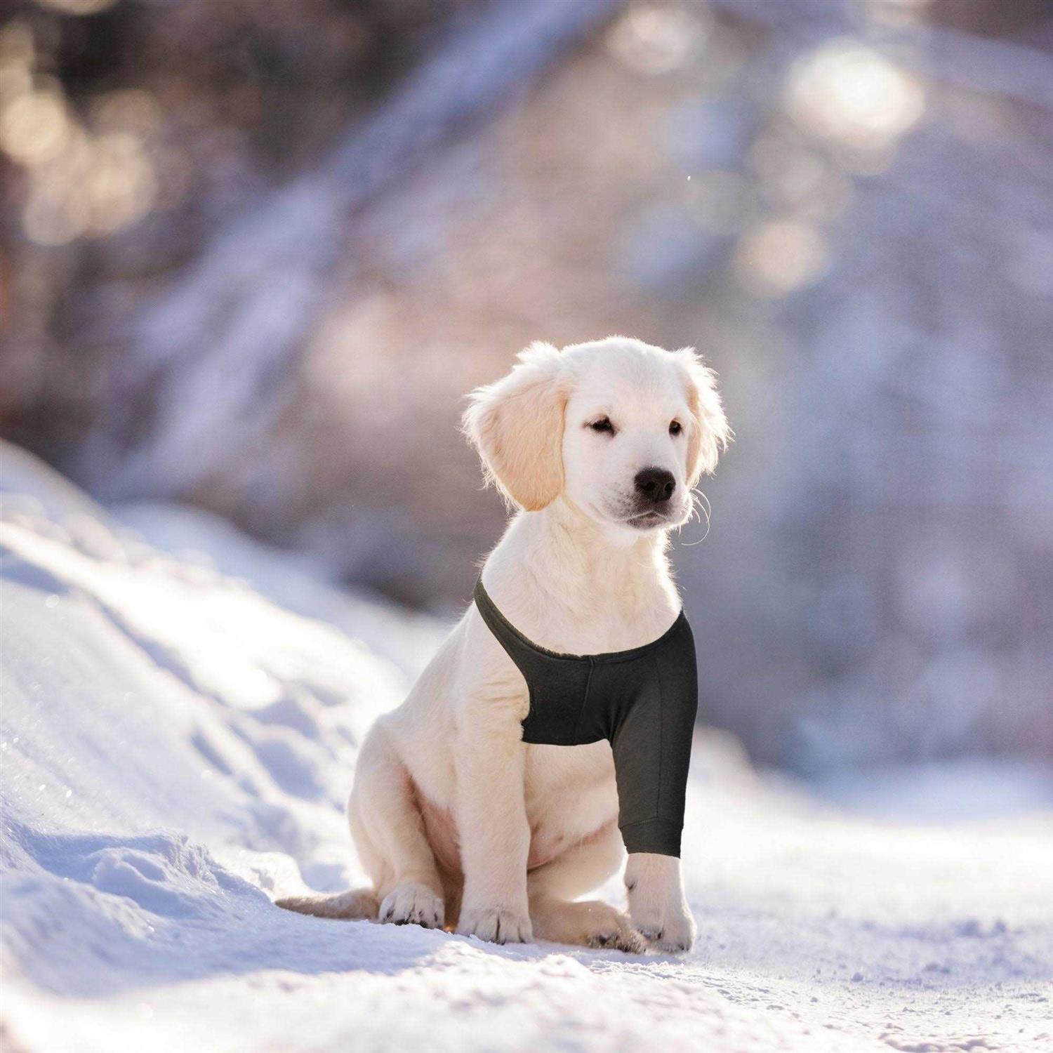 Suitical Dog Recovery Sleeve - Pet Supplies online store