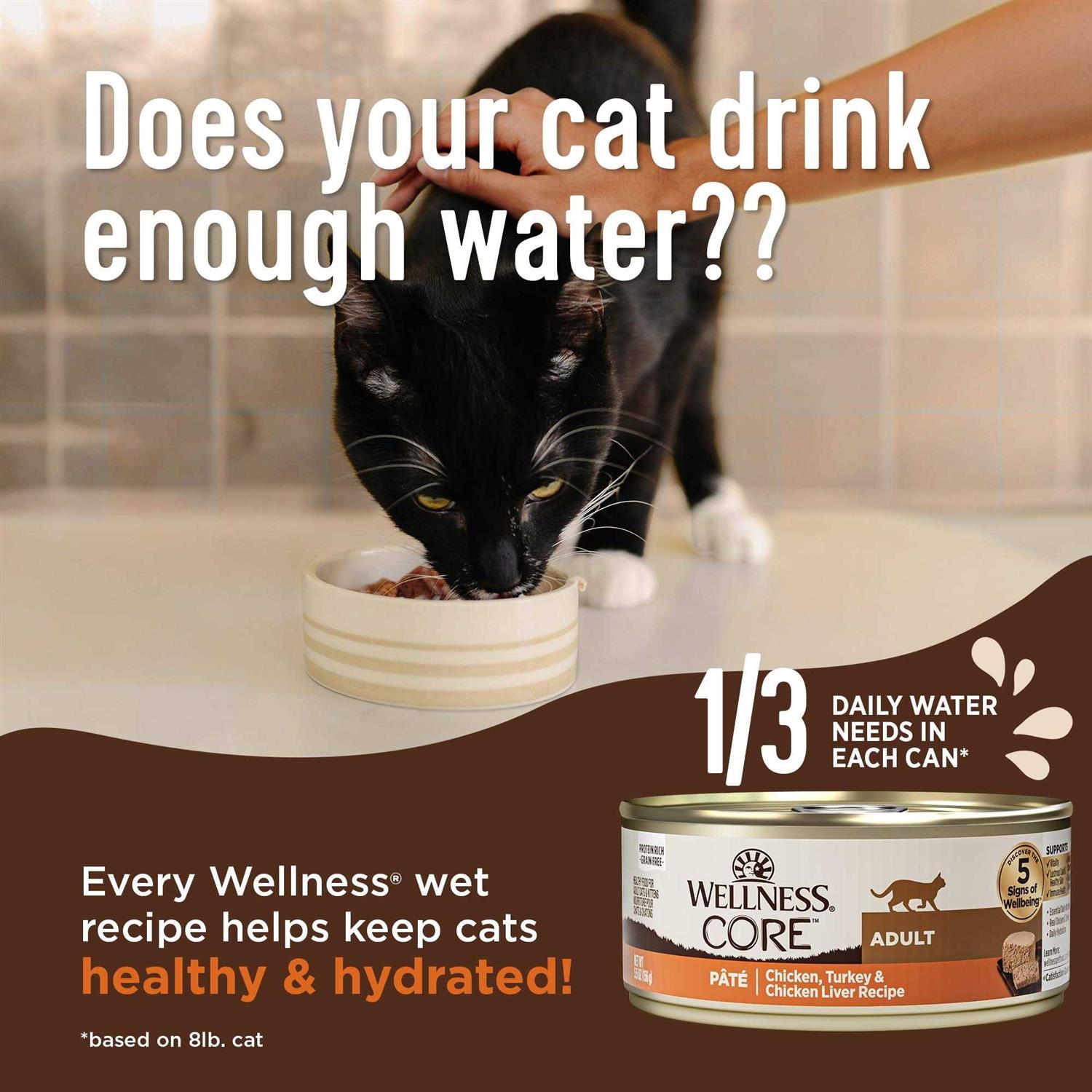 Wellness Core Digestive Health Pate Recipe Wet Cat Food - Pet Supplies online store