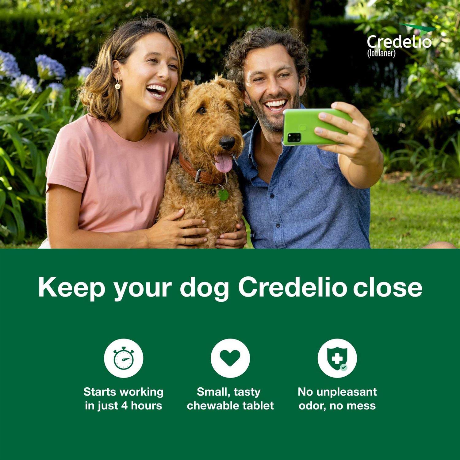 Credelio Chewable Tablet for Dogs 12.1-25 lbs - Pet Supplies online store