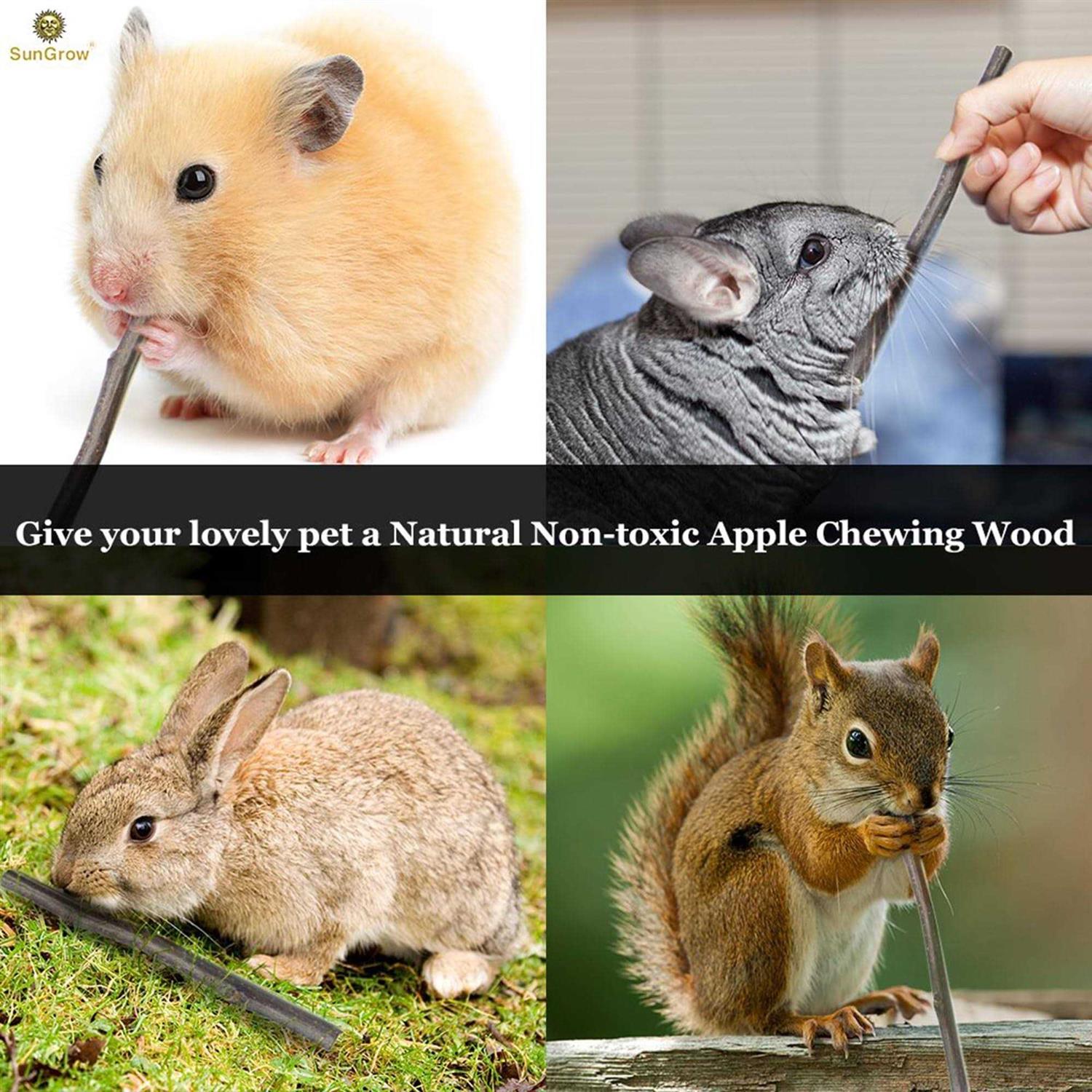 SunGrow Apple Sticks 200g Wood Chew Sticks for Rabbits Chinchillas - Pet Supplies online store