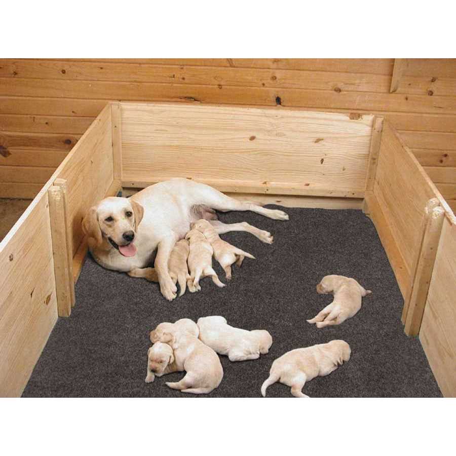 Drymate Whelping Box Liner Mat - Pet Supplies online store