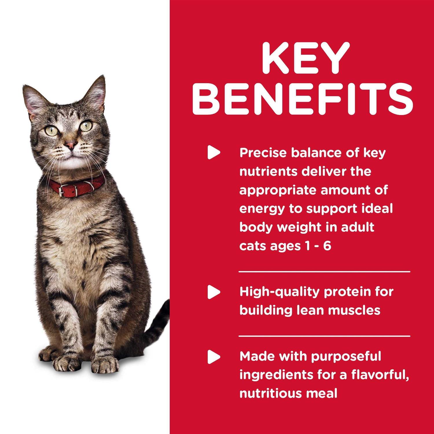 Hill's Science Diet Adult Tender Chicken Dinner Canned Cat Food - Pet Supplies online store