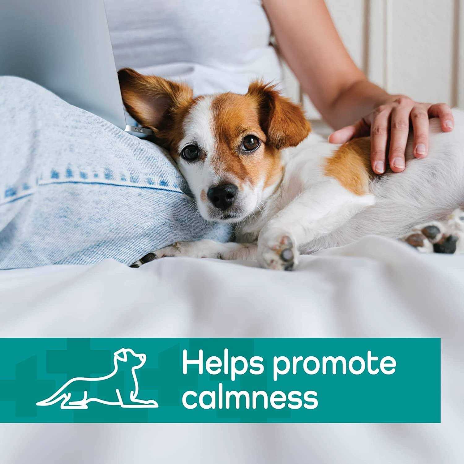 Vetality Hemp Helpers Collar for Dogs - Pet Supplies online store