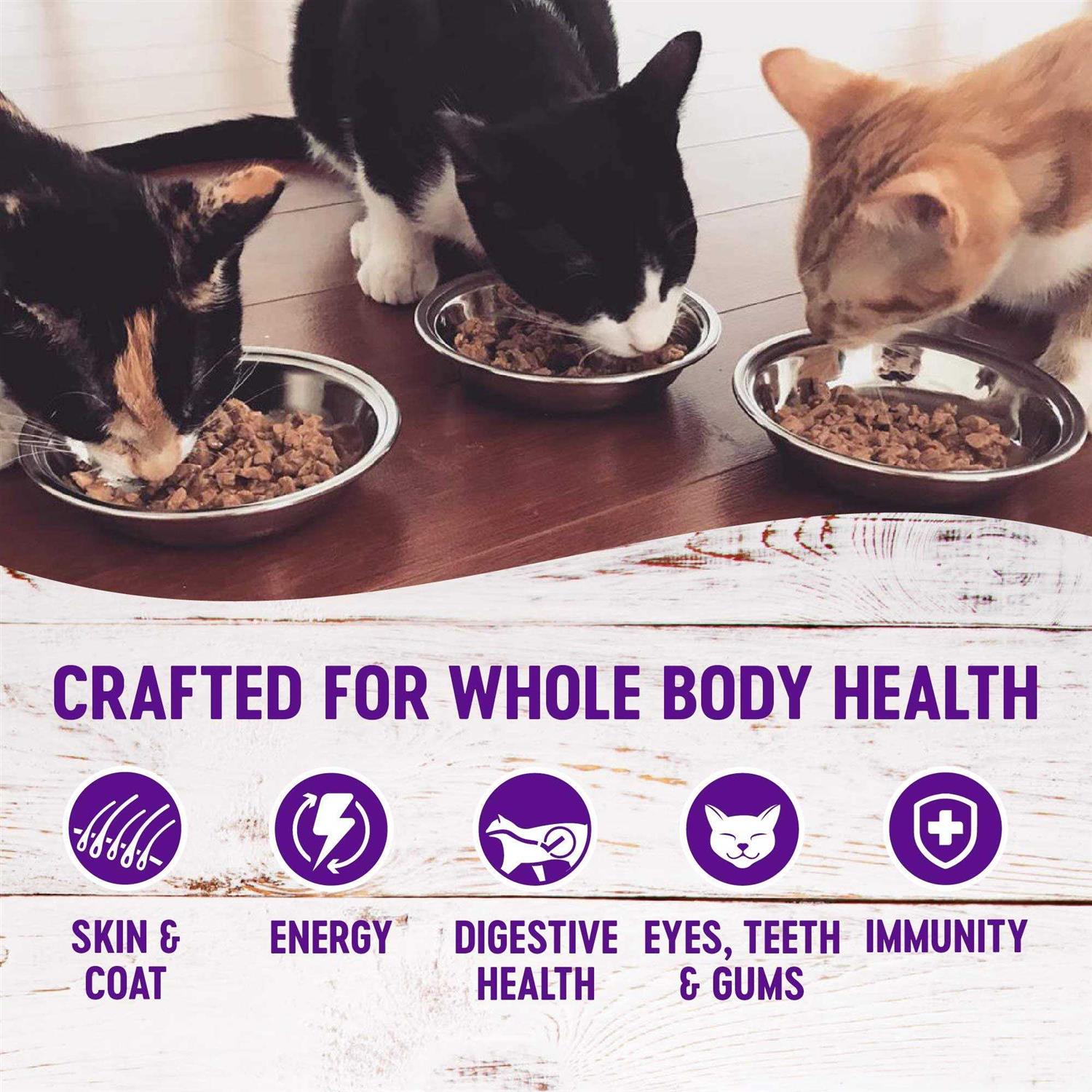 Wellness Healthy Indulgence Morsels Cat Food - Pet Supplies online store