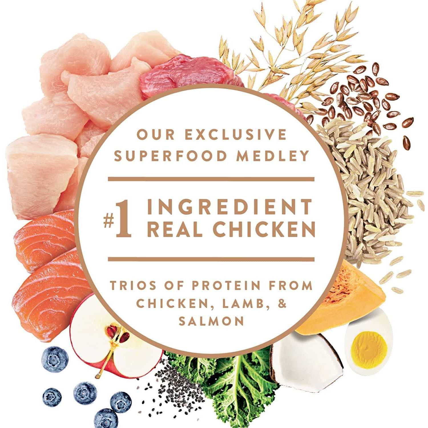 Nutro Ultra Senior Dry Dog Food - Pet Supplies online store