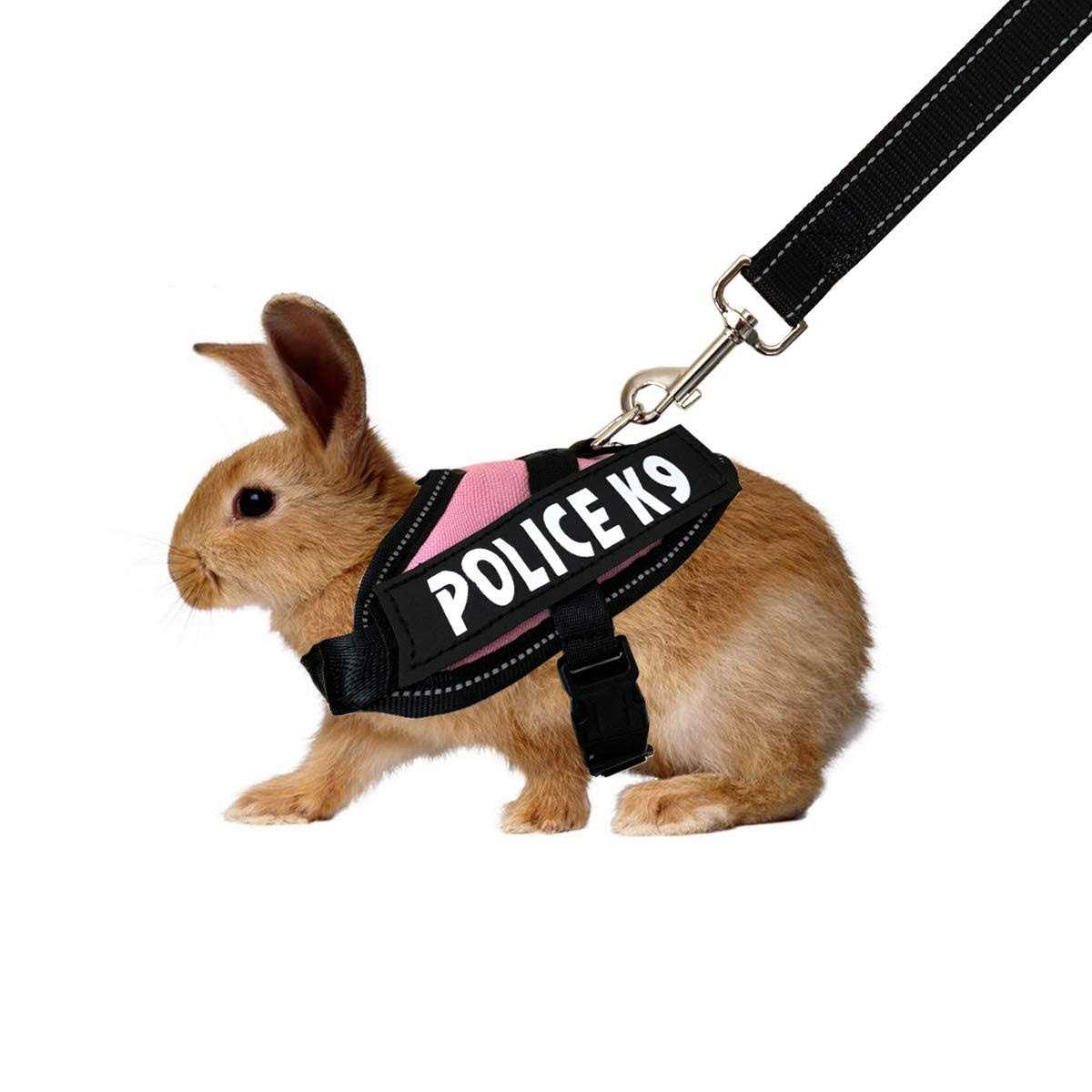 Vehomy Rabbit Harness with Leash for Bunny Rabbits Cats - Pet Supplies online store