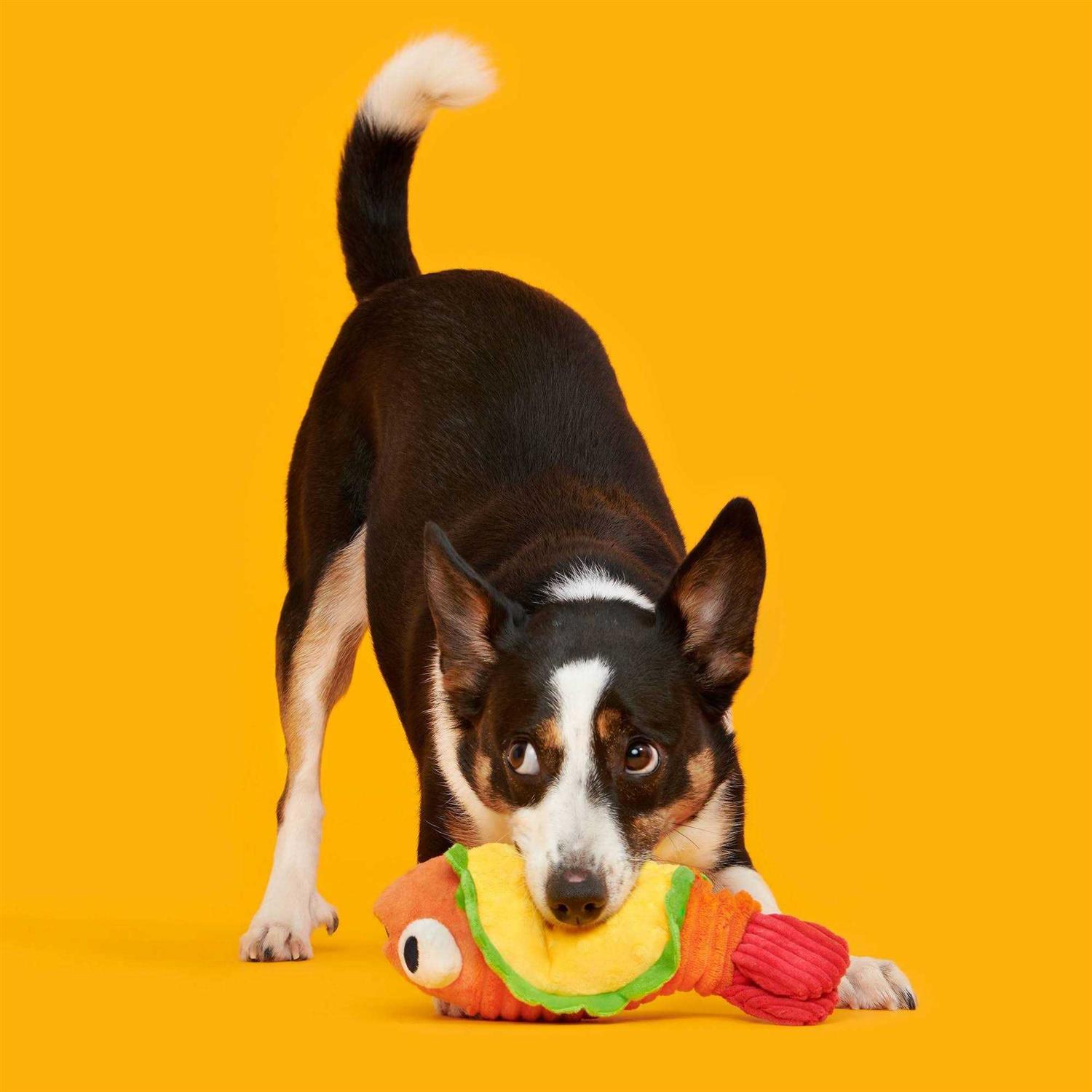BARK Eduardo The Shrimp Taco Dog Toy - Pet Supplies online store
