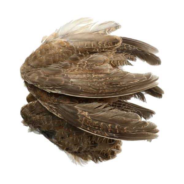 Classic T Designs Quail Wings 6 Pk - Pet Supplies online store
