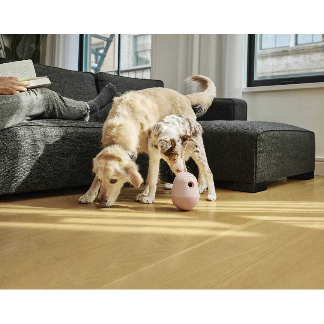 Fable Pets The Game Dog Toy - Pet Supplies online store