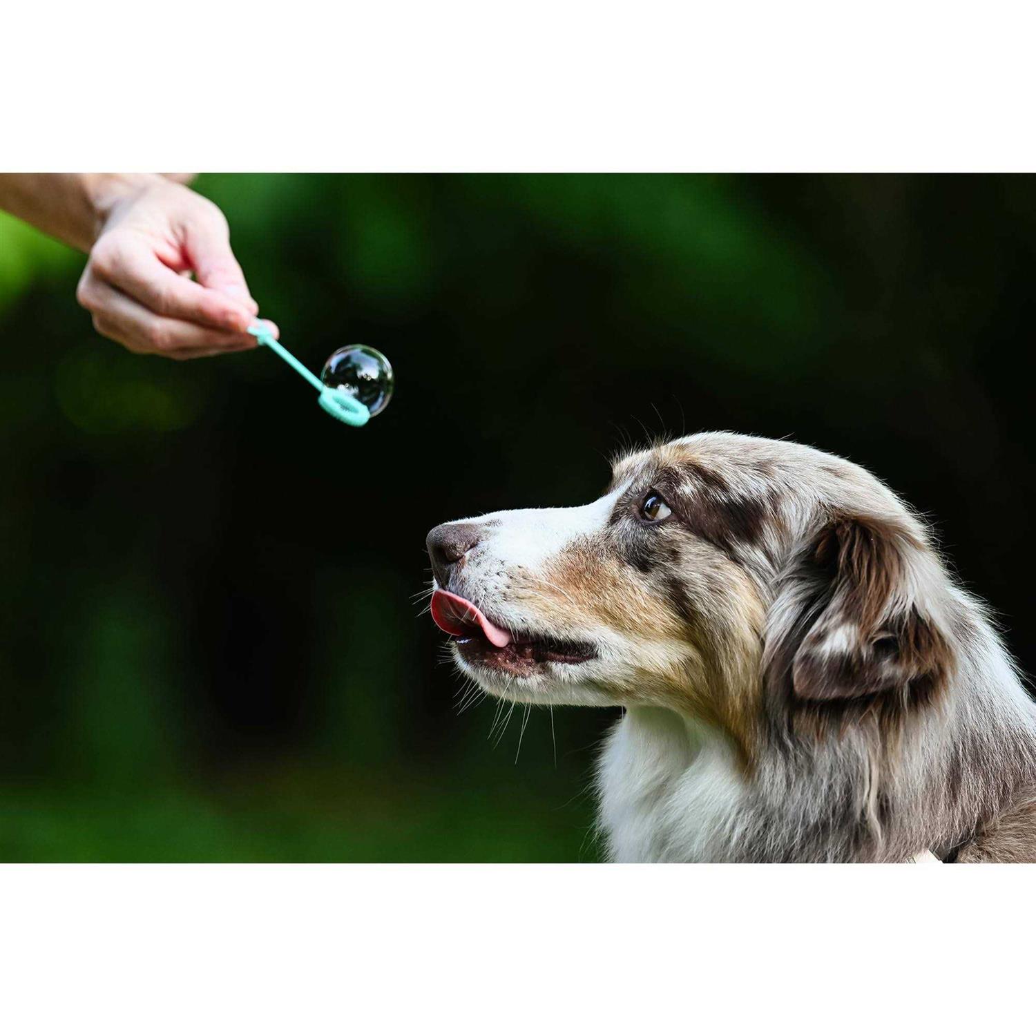 Puppy Love Bubbles Peanut Butter & Bacon Scented Bubbles 4oz. Bottle-2 Pack Combo for Dogs - Pet Supplies online store