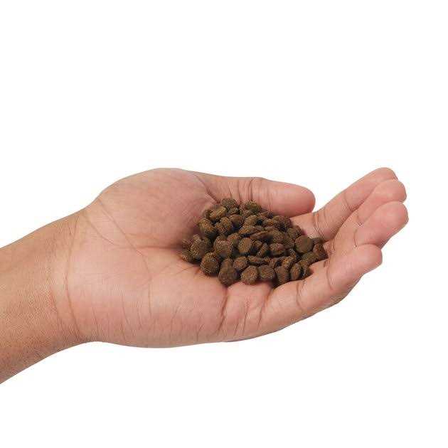 Farmina N&D Prime Grain Free Cat Dry Food Lamb & Blueberry - Pet Supplies online store