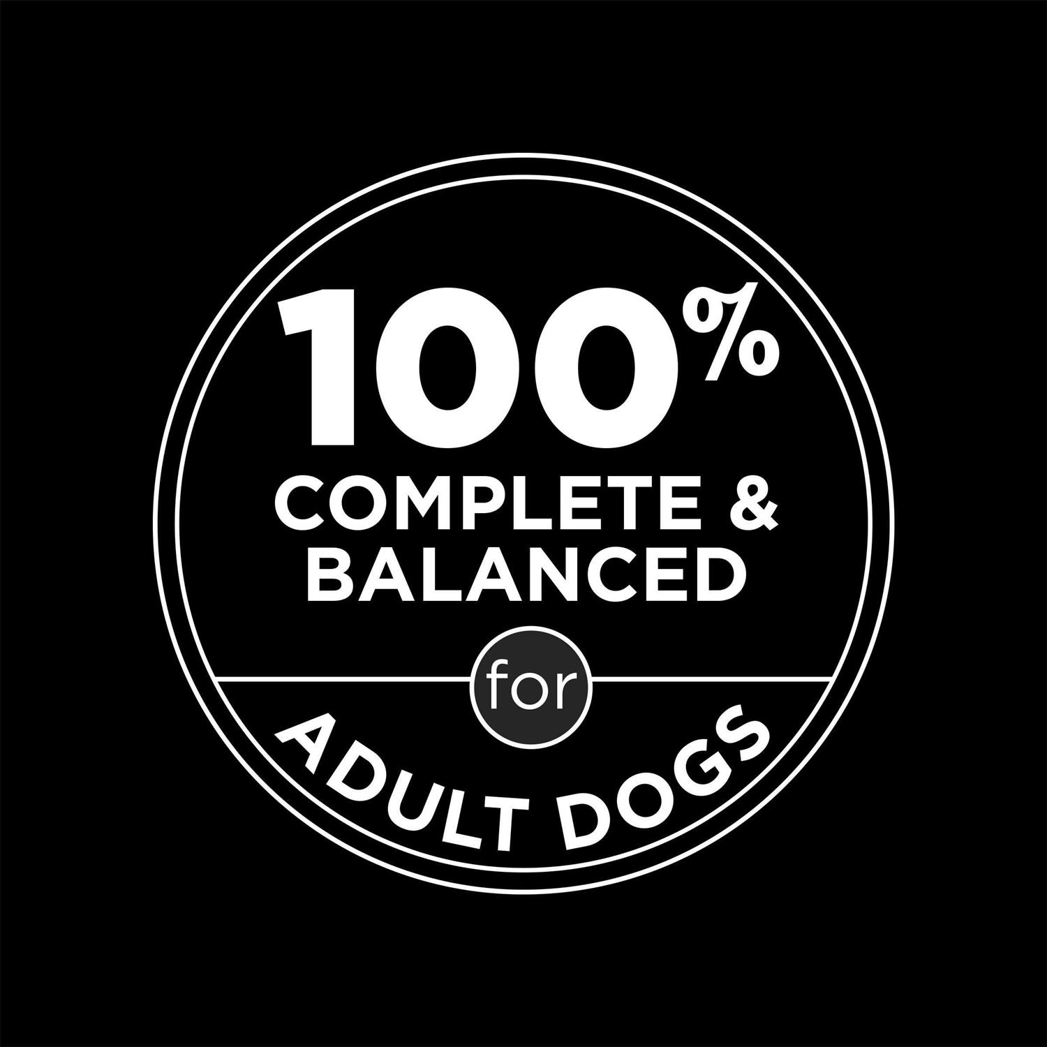 Moist & Meaty High Protein Chicken & Beef Flavor Dry Dog Food - Pet Supplies online store