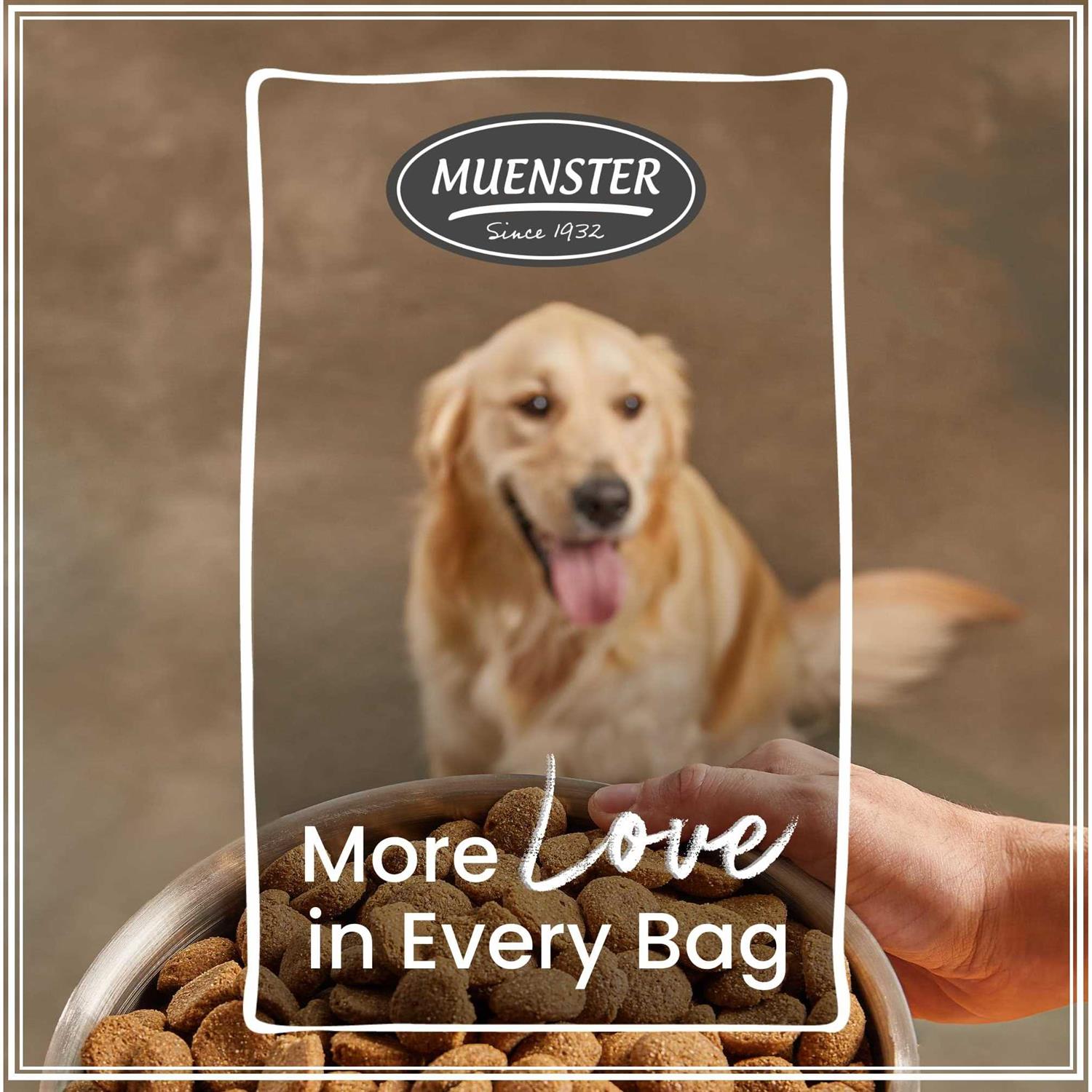Muenster Ancient Grains with Chicken Dog Food - Pet Supplies online store