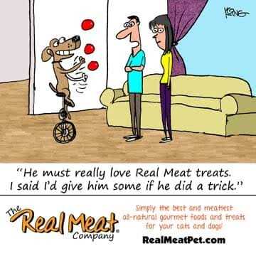 Real Meat Dog Jerky Treats Lamb - Pet Supplies online store