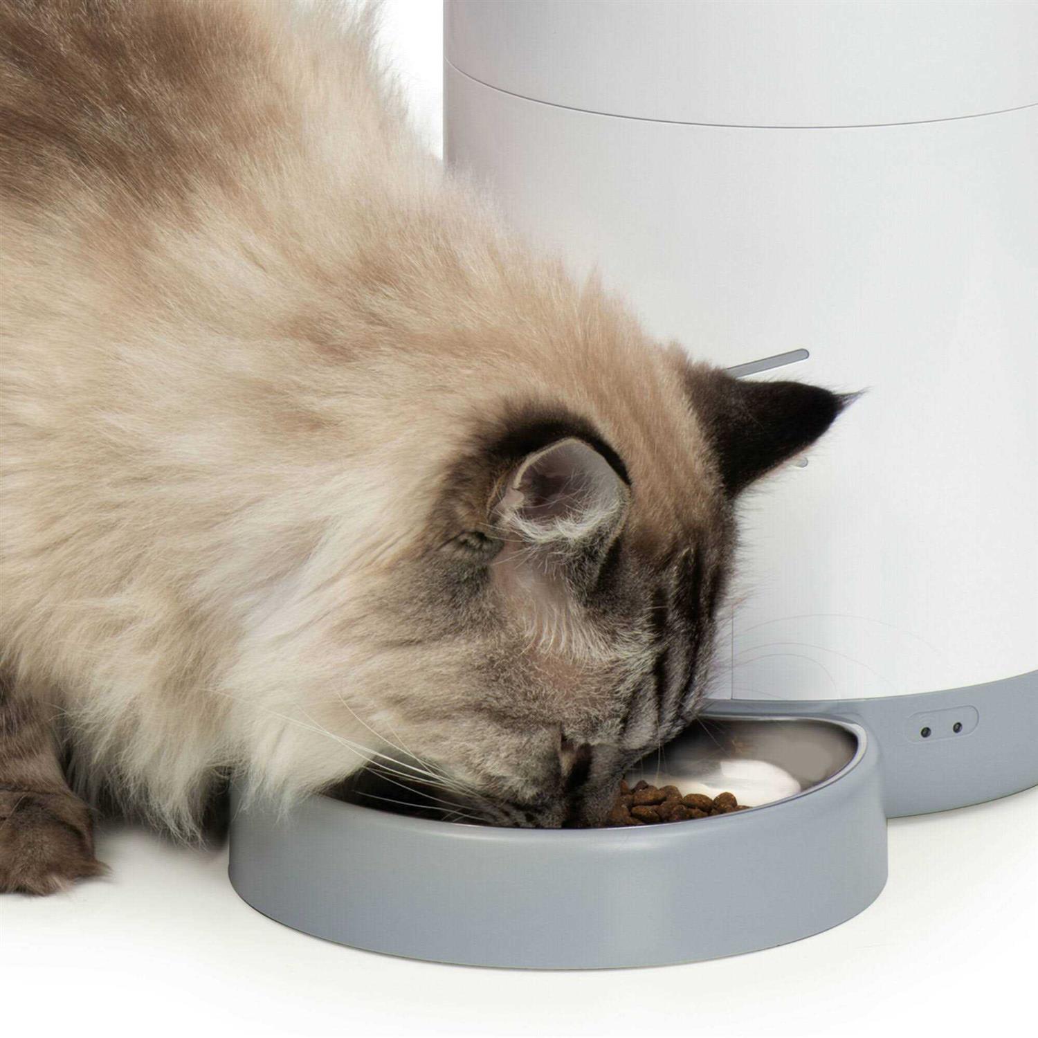 Catit Pixi Smart Feeder - Pet Supplies online store