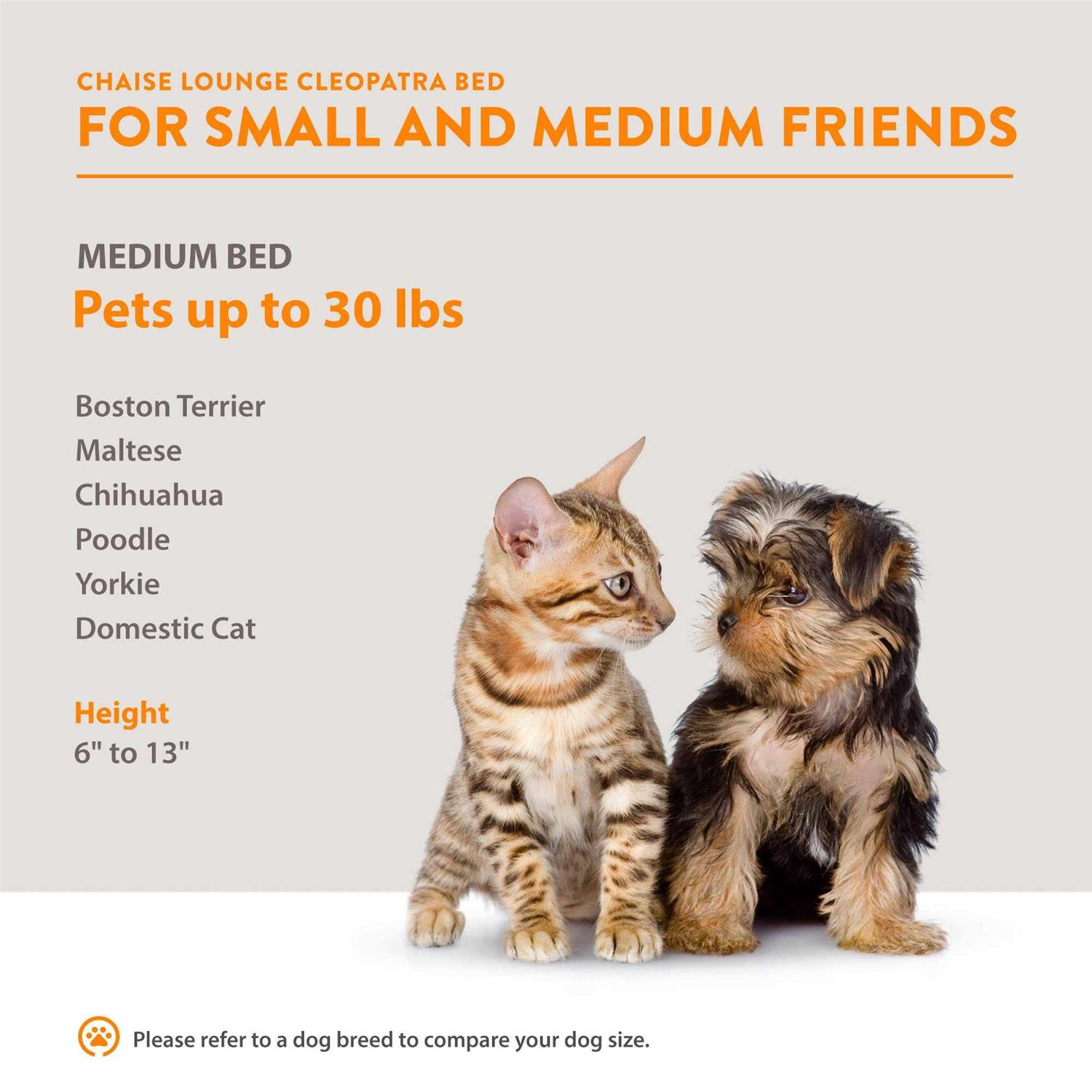 Moots Cleopatra Chaise Lounge Pet Bed - Pet Supplies online store