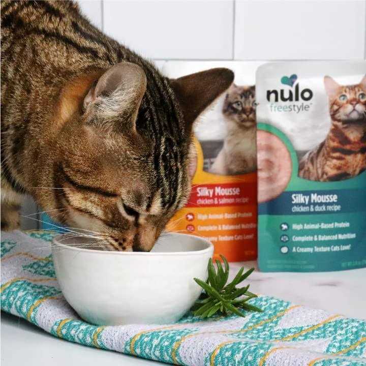 Nulo Freestyle Silky Mousse Cat Wet Food 2.8 oz / Chicken - Pet Supplies online store