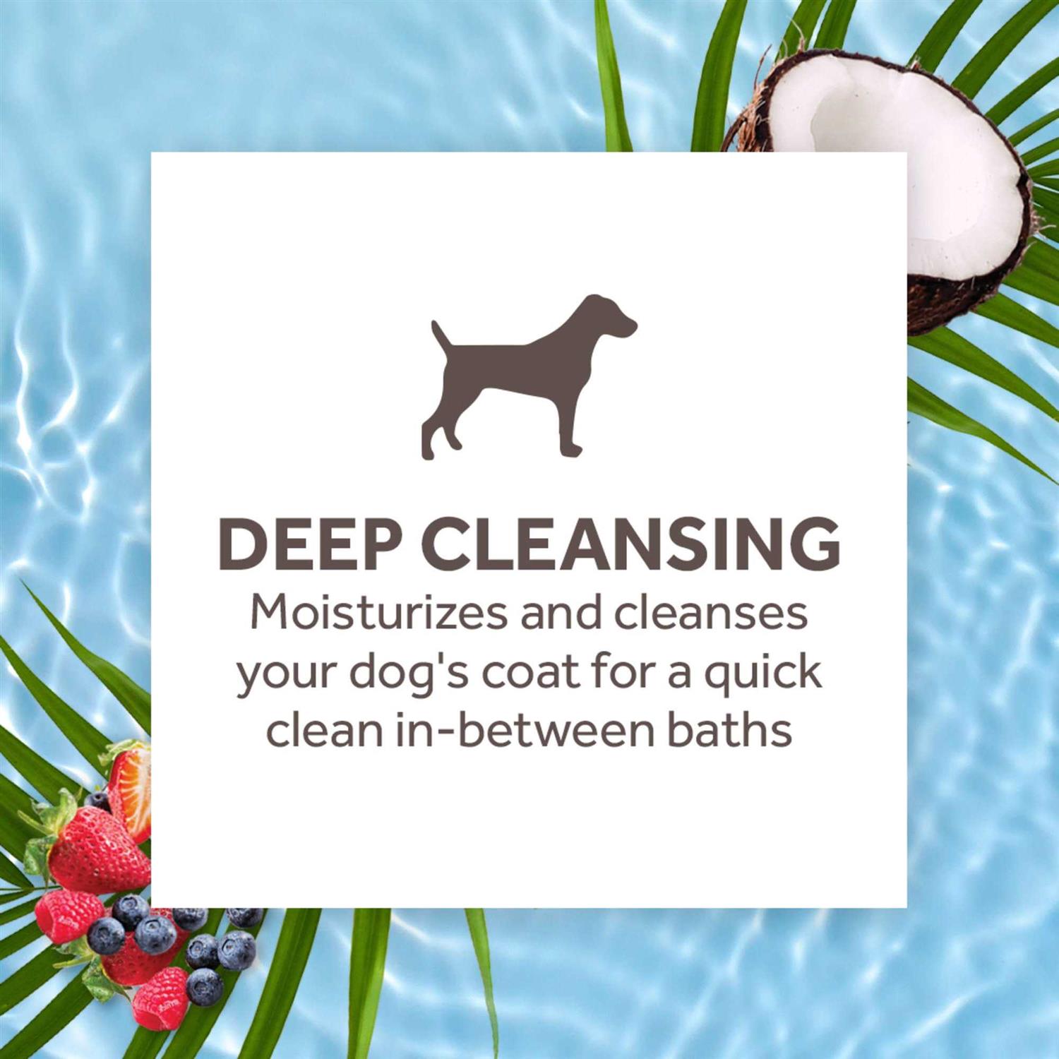 Tropiclean Waterless Deep Cleaning Cat Shampoo - Pet Supplies online store