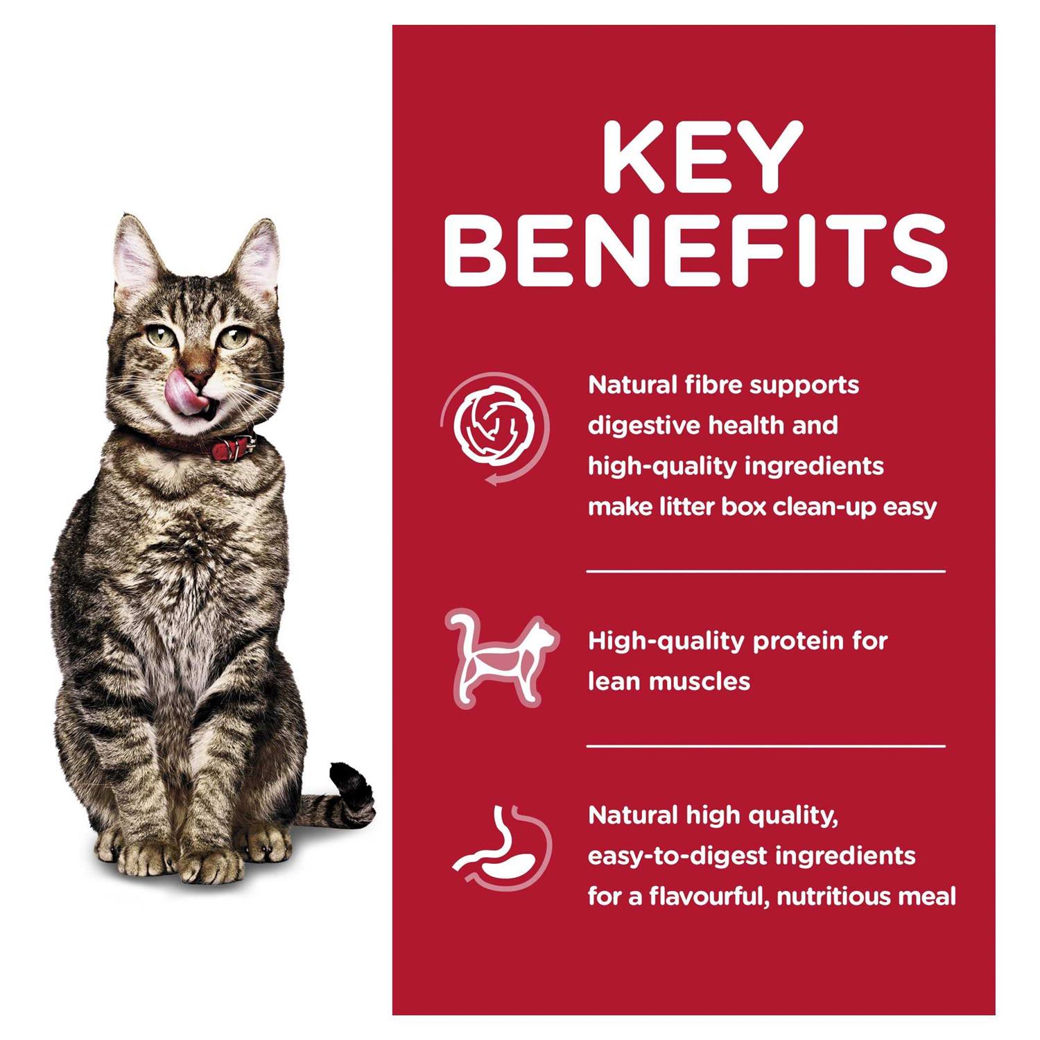 Hill's Science Diet Adult 7+ Indoor Dry Cat Food - Pet Supplies online store