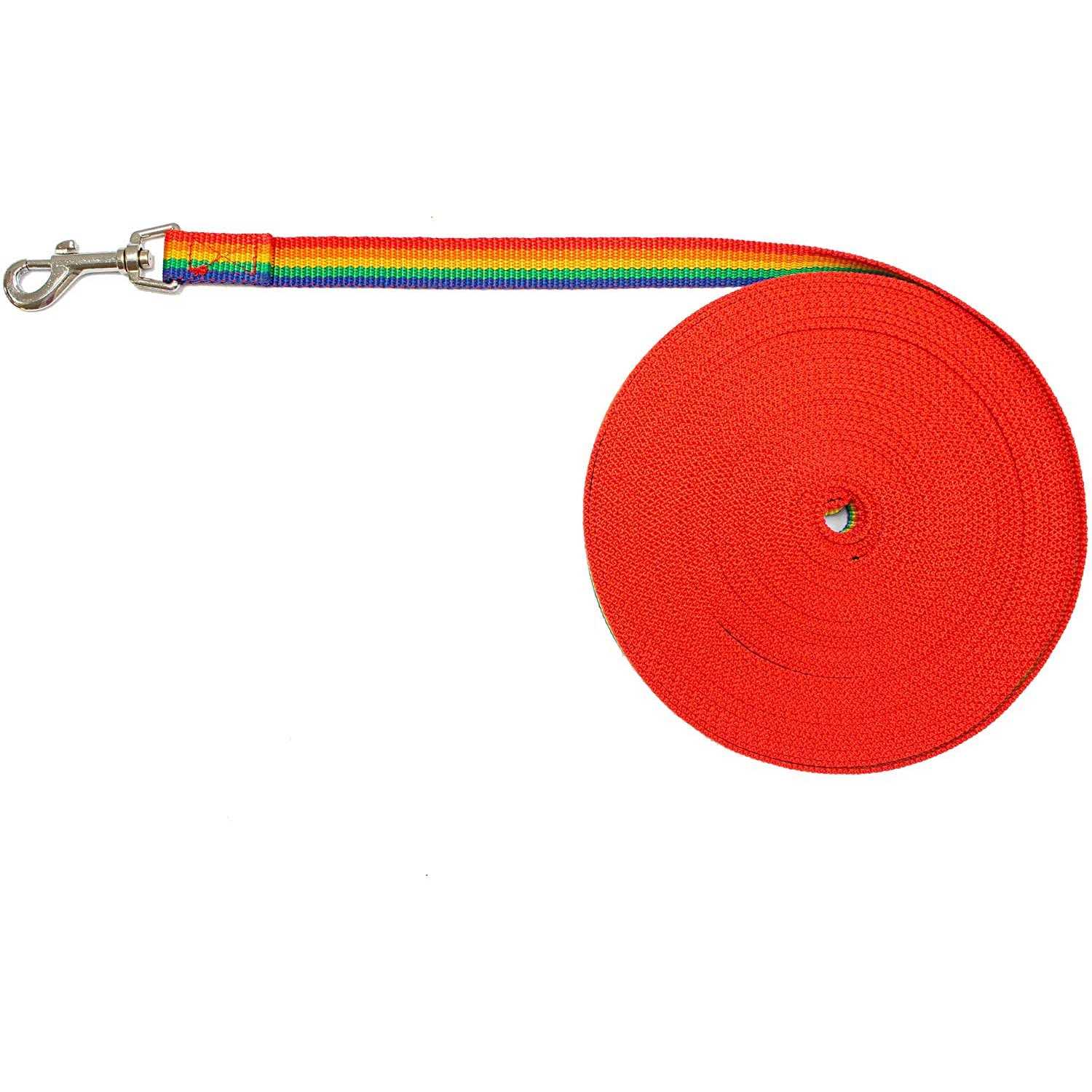 Downtown Pet Supply Long Lead Leash for Dog Training - Pet Supplies online store