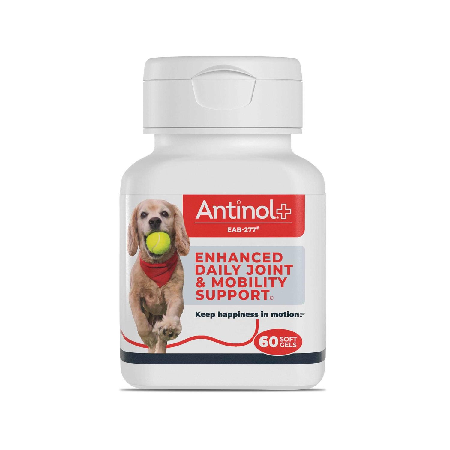 Antinol Plus 60ct - Pet Supplies online store