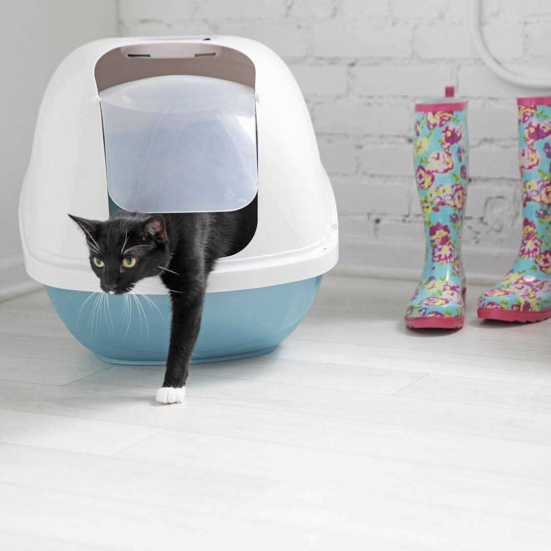 Petmate Basic Hooded Litter Pan - Pet Supplies online store